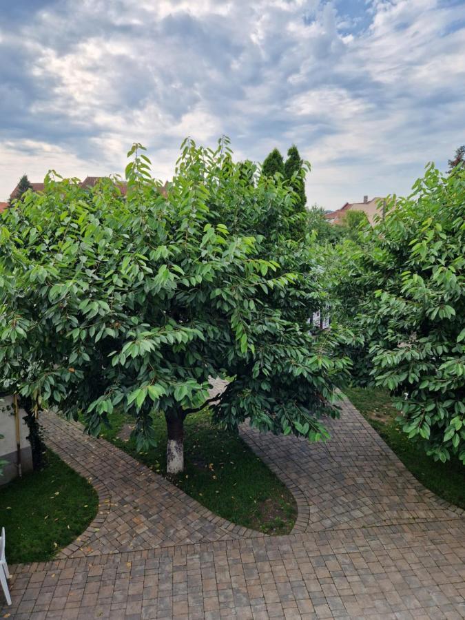 Atlantic Boutique Hotel Targu Mures Exterior photo